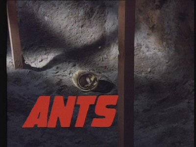 Header Critique : ANTS (IT HAPPENED AT LAKEWOOD MANOR)