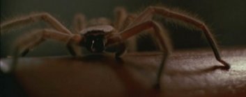 Header Critique : ARACHNOPHOBIE (ARACHNOPHOBIA)