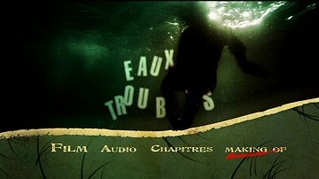 Menu 1 : EAUX TROUBLES (ROGUE)