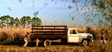 Header Critique : LOCUSTS