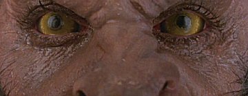 Header Critique : AN AMERICAN WEREWOLF IN LONDON (LE LOUP-GAROU DE LONDRES)