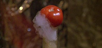 Header Critique : RETOUR DES TOMATES TUEUSES, LE (RETURN OF THE KILLER TOMATOES)