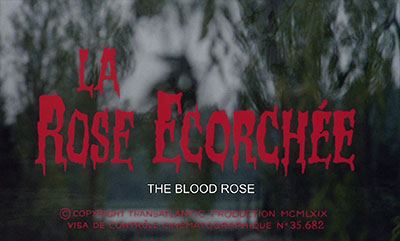 Header Critique : ROSE ECORCHEE, LA