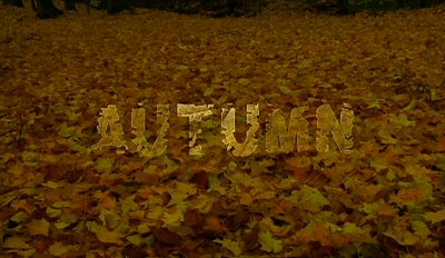 Header Critique : AUTUMN : FIN DU MONDE