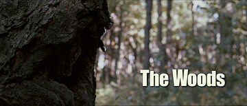 Header Critique : WOODS, THE