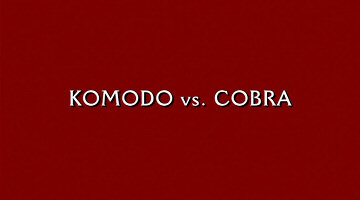 Header Critique : KOMODO VS. COBRA