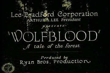 Header Critique : WOLF BLOOD (WOLFBLOOD : A TALE OF THE FOREST)