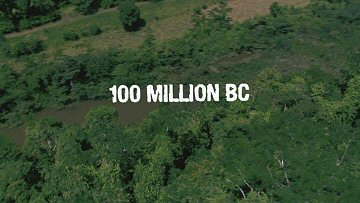 Header Critique : 100 MILLION BC