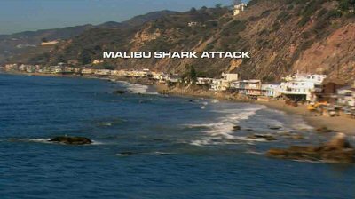 Header Critique : CAPATAMADAS MALIBUBAN (MALIBU SHARK ATTACK)