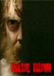 BLUE RUIN - Critique du film