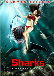 SHARKS : DEUX FOIS PLUS MORDANT !