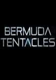 BERMUDA TENTACLES