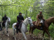 CONAN (2011) : Photo 04