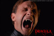 DRACULA 3D : Photo 9