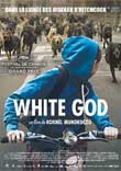 CRITIQUE : WHITE GOD