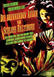 DIE BRENNENDEN AUGEN VON SCHLOSS BALTIMORE