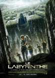 DANS LE LABYRINTHE LE 15 OCTOBRE