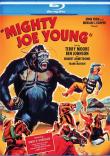 Jaquette : MIGHTY JOE YOUNG