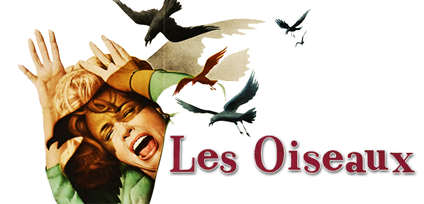 CRITIQUE : LES OISEAUX