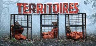 CRITIQUE : TERRITOIRES