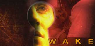 CRITIQUE : WAKE
