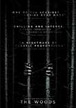 BALADE DANS LES BOIS AVEC THE WOODS