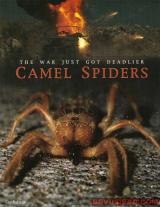 CAMEL SPIDERS - Poster