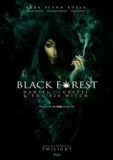 BLACK FOREST : HANSEL AND GRETEL & THE 420 WITCH - Poster