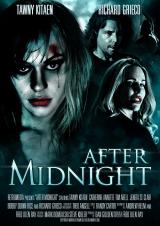 AFTER MIDNIGHT (2013) - Poster