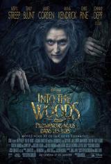 INTO THE WOODS : PROMENONS NOUS DANS LES BOIS - Poster