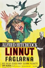 Linnut - Poster