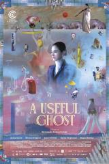 poster international - A useful Ghost