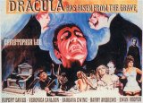 DRACULA HAS RISEN FROM THE GRAVE : Quad Poster #7395