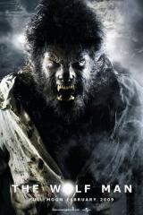 THE WOLFMAN