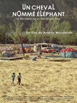 
                    Affiche de UN CHEVAL NOMMÉ ÉLÉPHANT (2016)