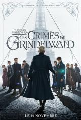 
                    Affiche de LES ANIMAUX FANTASTIQUES : LES CRIMES DE GRINDELWALD (2018)