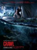 
                    Affiche de CRAWL (2019)