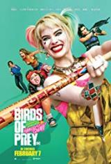 
                    Affiche de BIRDS OF PREY ET LA FANTABULEUSE HISTOIRE D'HARLEY QUINN (2020)