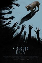 
                    Affiche de GOOD BOY (2025)