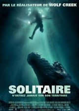
                    Affiche de SOLITAIRE (2007)