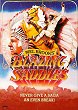 BLAZING SADDLES DVD Zone 1 (USA) 