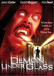 DEMON UNDER GLASS DVD Zone 1 (USA) 