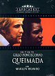 QUEIMADA DVD Zone 2 (Italie) 