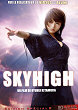 SKY HIGH DVD Zone 2 (France) 