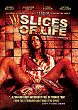 SLICES OF LIFE DVD Zone 1 (USA) 
