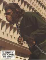 CONQUEST OF THE PLANET OF THE APES Lobby card