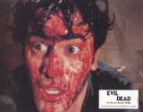 EVIL DEAD Lobby card