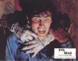 EVIL DEAD Lobby card