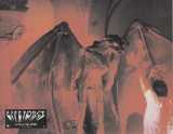 LIFEFORCE Lobby card