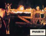 PHASE IV Lobby card